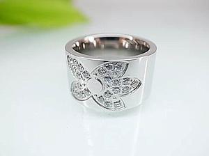 1139 Anillo Plat Zc
