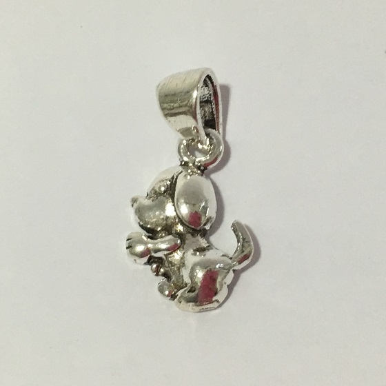 PL 910 Colgante Plata