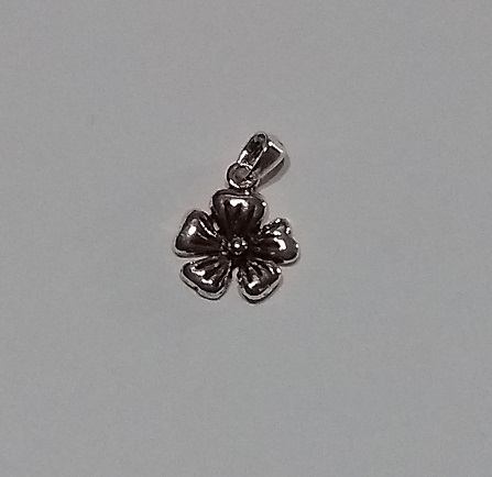 PL 913 Colgante Plata